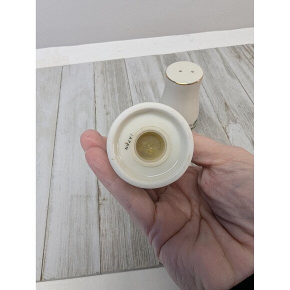 Porcelain Salt & Pepper Shaker Set "A Season Of Wonder" Christmas Holly Design - Picture 7 of 8